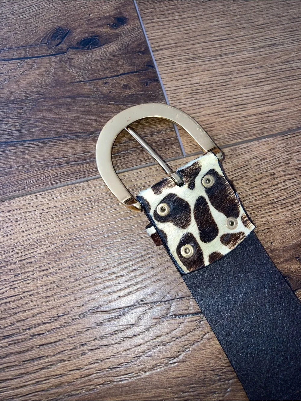Source Unknown stylish giraffe